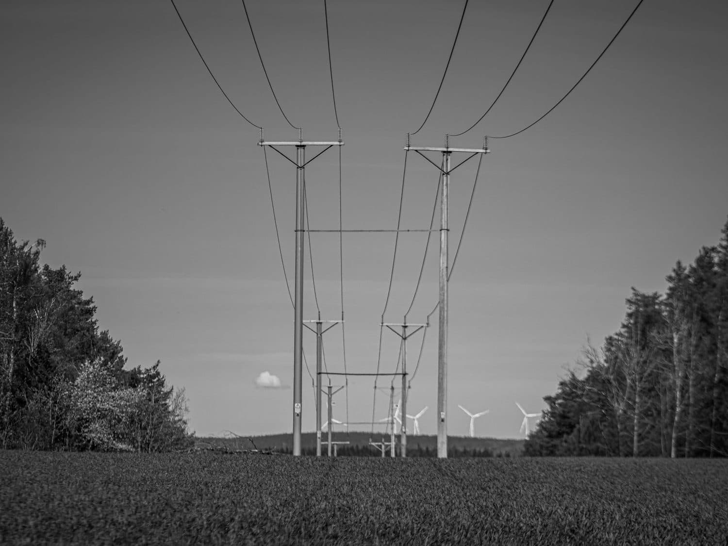Transmission lines crossing a field, wind turbines beyond